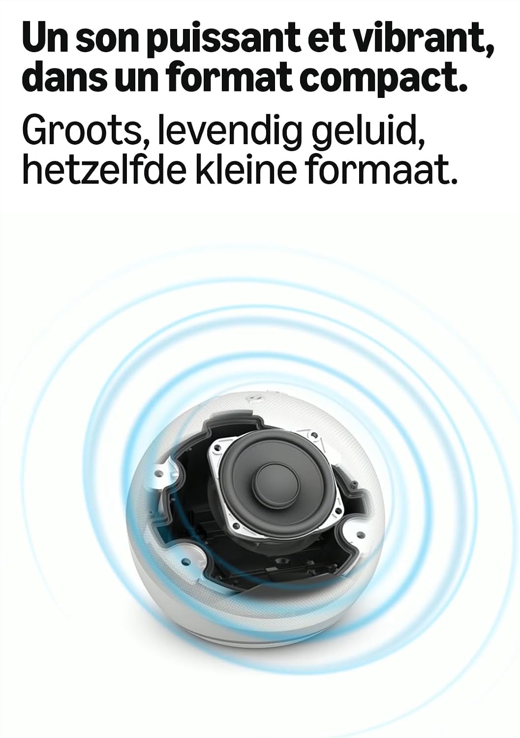 Echo Dot (Nieuwste generatie) | Krachtig, levendig geluid – Wifi en Bluetooth-luidspreker met Alexa | Antraciet